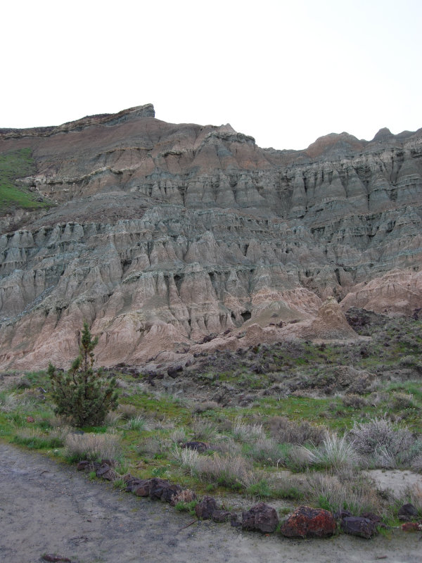 The John Day Formation is composed by layers of fine deposits and ash that stand for meters from the street view.
