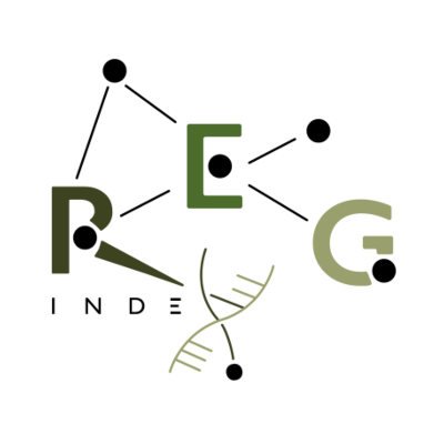 Logo REGINDEX